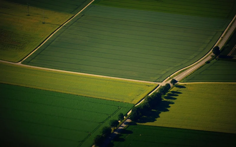 Aerial view of farm fields for mapping — Armando Colina Rojas, drone pilot